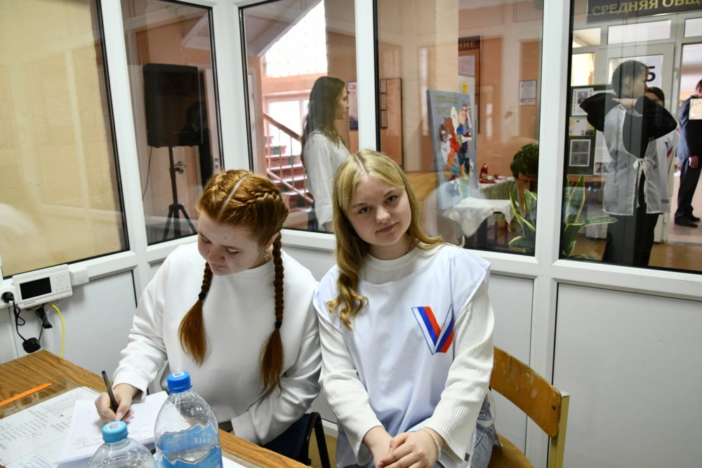 выборы, андреаполь