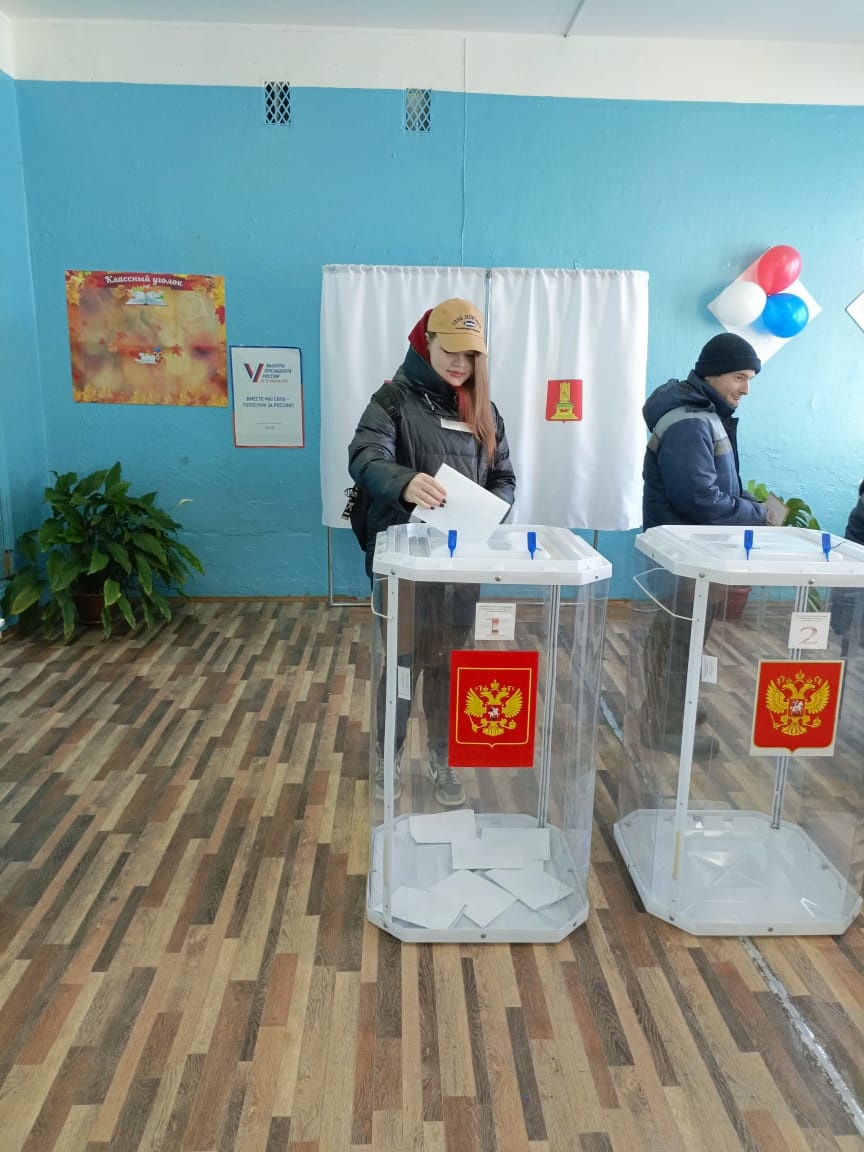 голосование, андреаполь