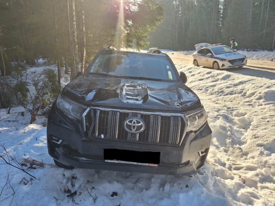 Фото: ГИБДД