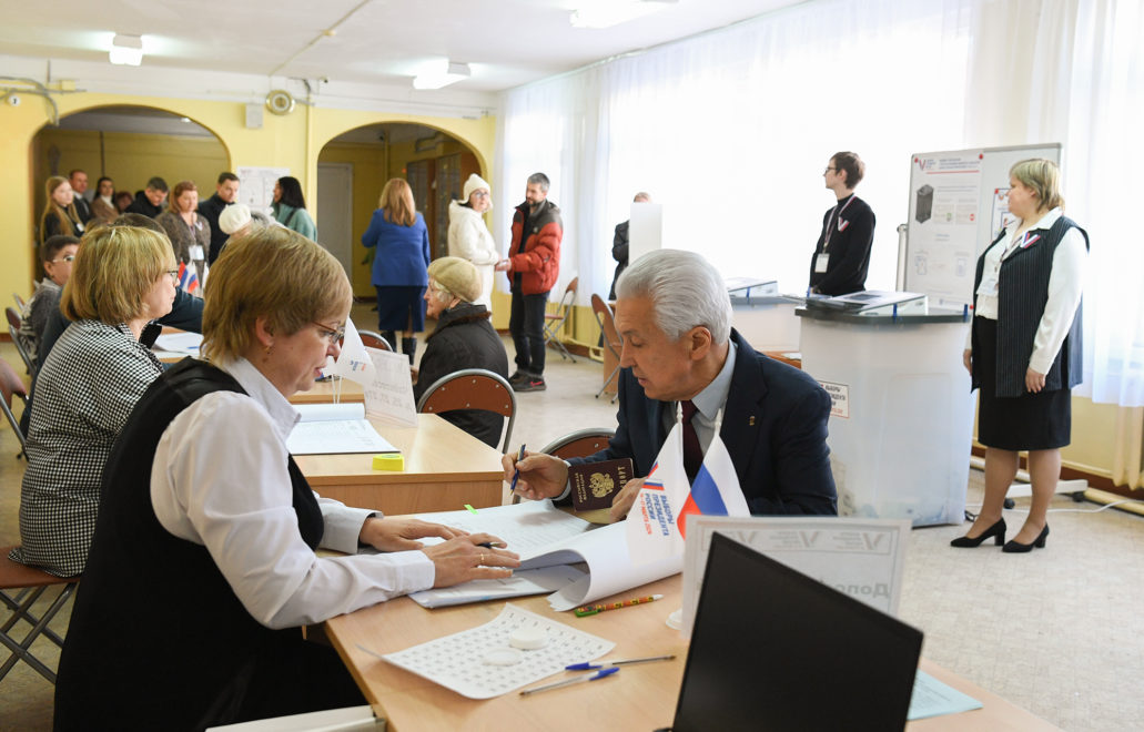 выборы, васильев