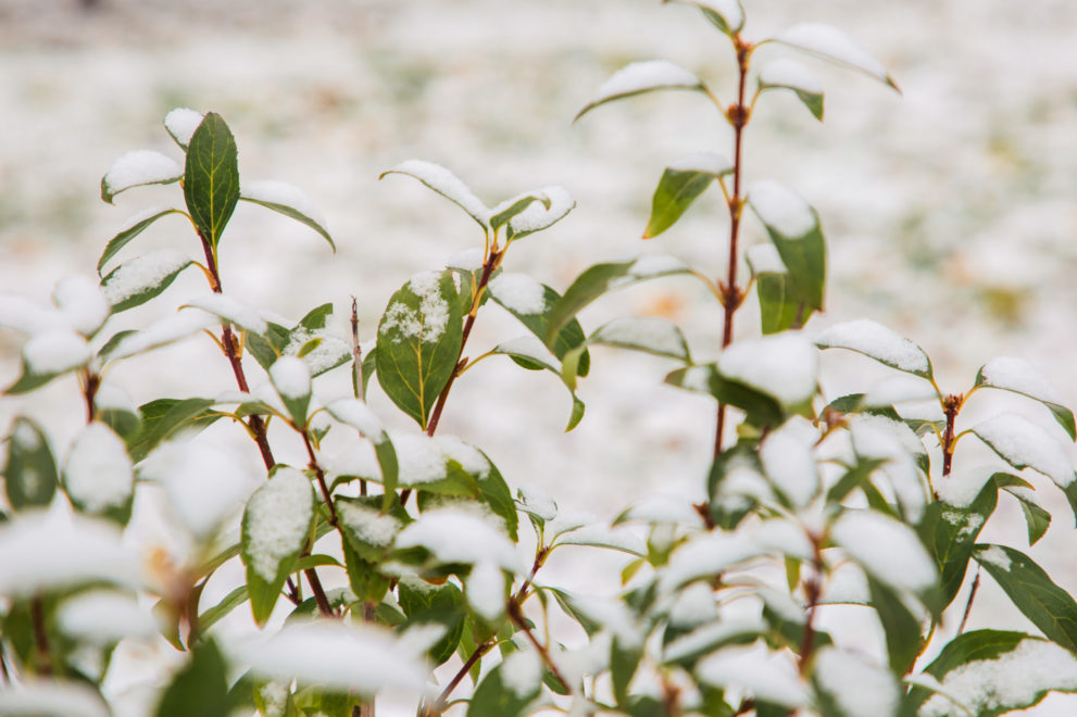 Фото: Кристина Белякова/РИА Верхневолжье