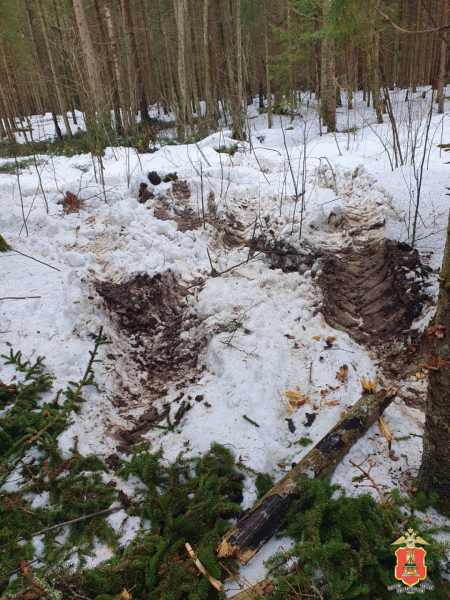 рубка деревьев