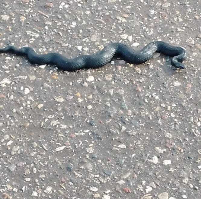 Фото: Татьяна Гусева/Подслушано в Удомле