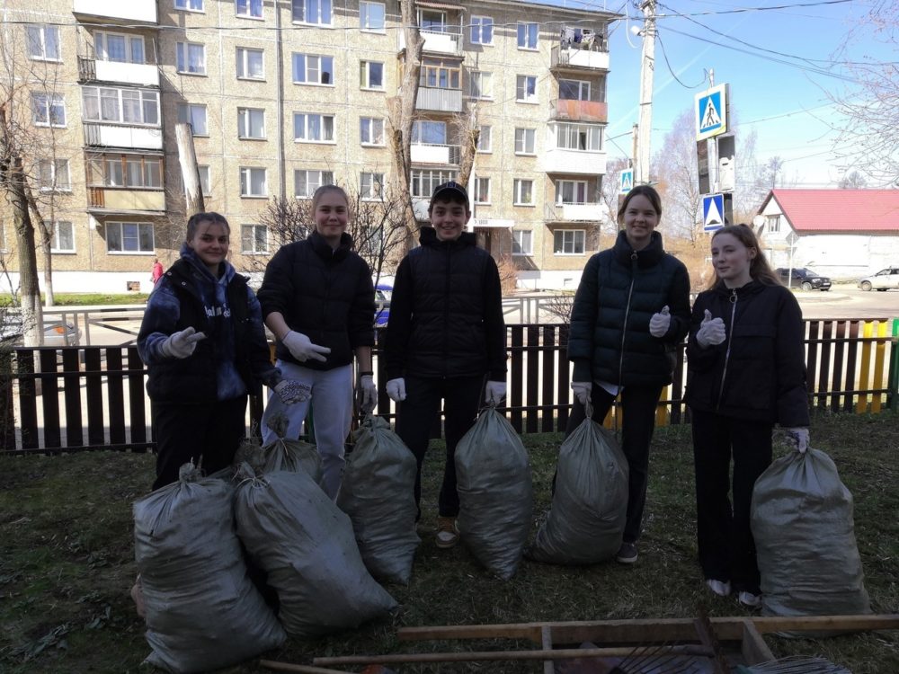 волонтерство, бологое