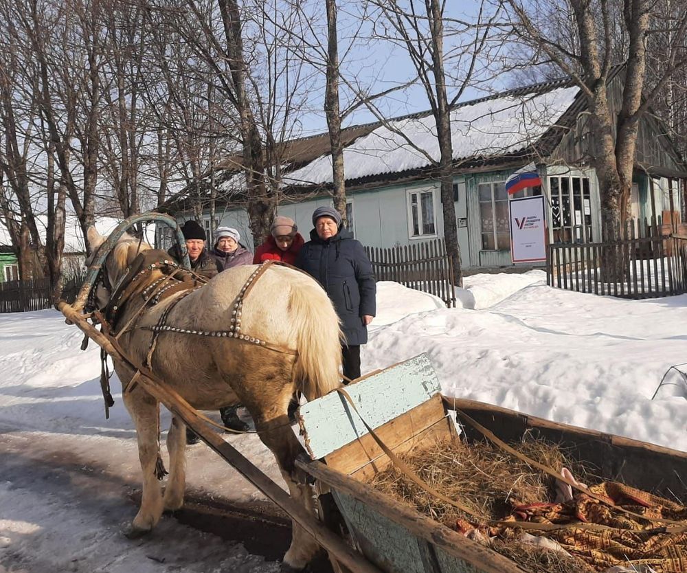 выборы, молоковский округ