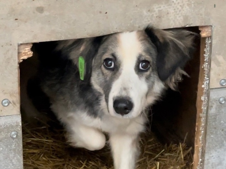 Фото: Татьяна Зудакова