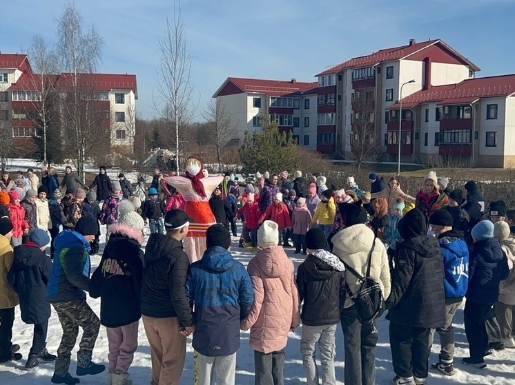 Фото: Андреапольский округ