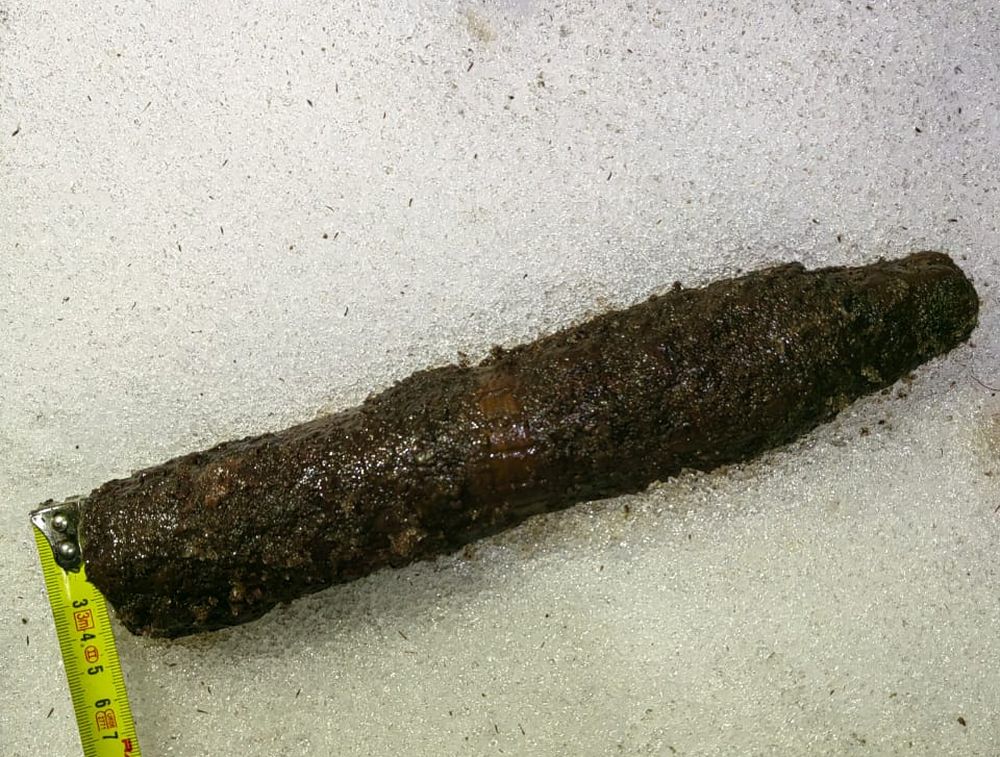 Фото: Управление Росгвардии по Тверской области