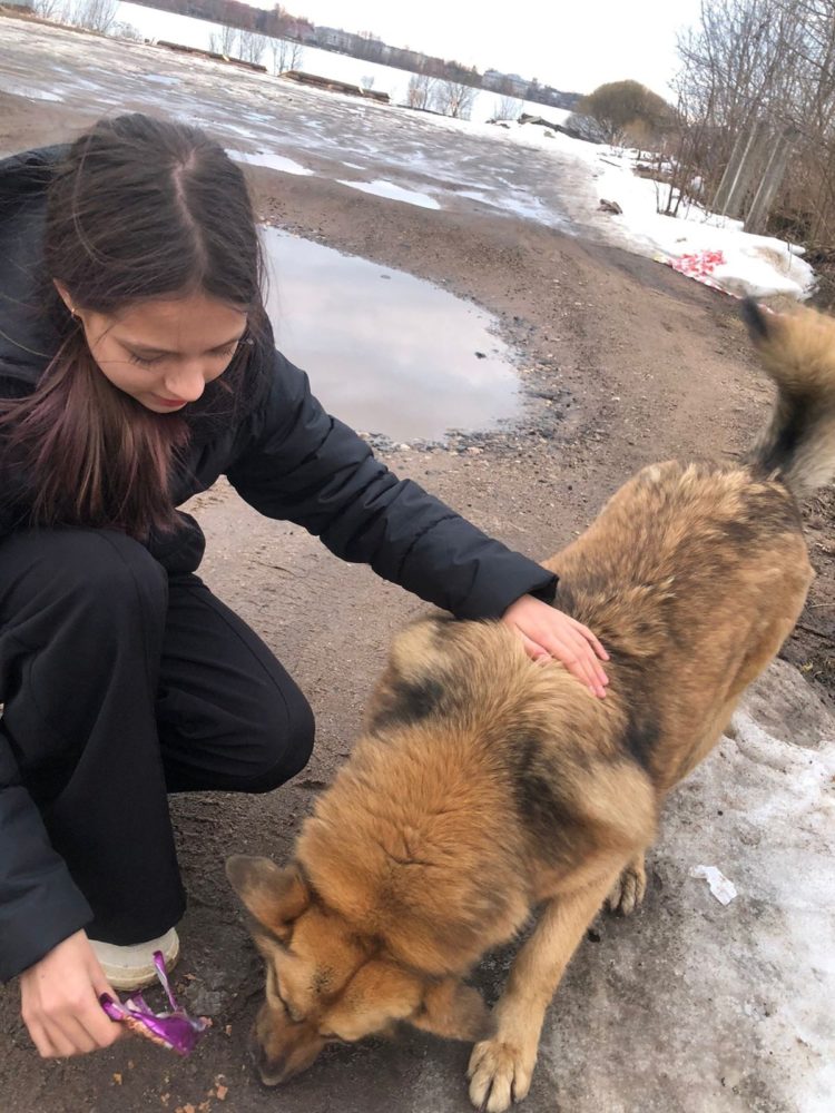 волонтерство, бологое