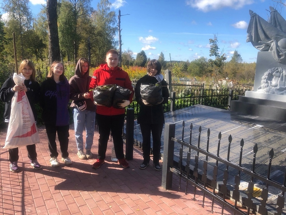 волонтерство, бологое