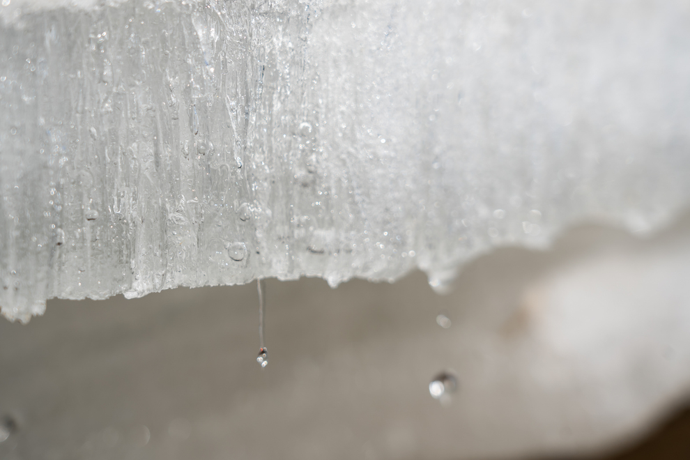 Фото: Андрей Зубов/РИА Верхневолжье