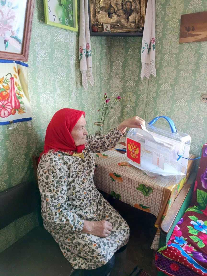 голосование, андреаполь