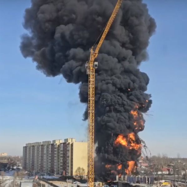 Фото: скрин с видео