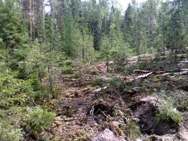 Фото: Управление Россельхознадзором