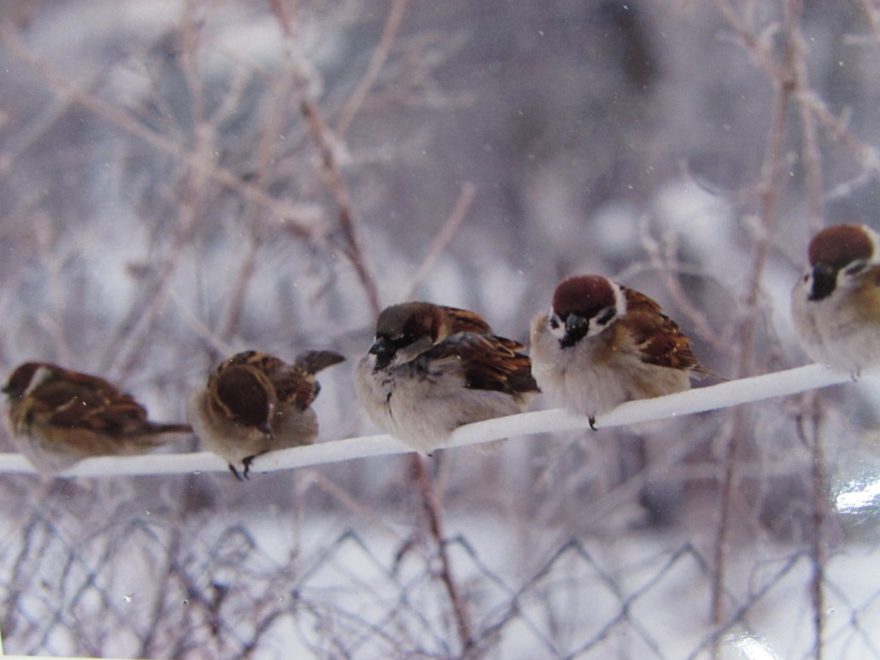 Фото: Тамара Гладышева