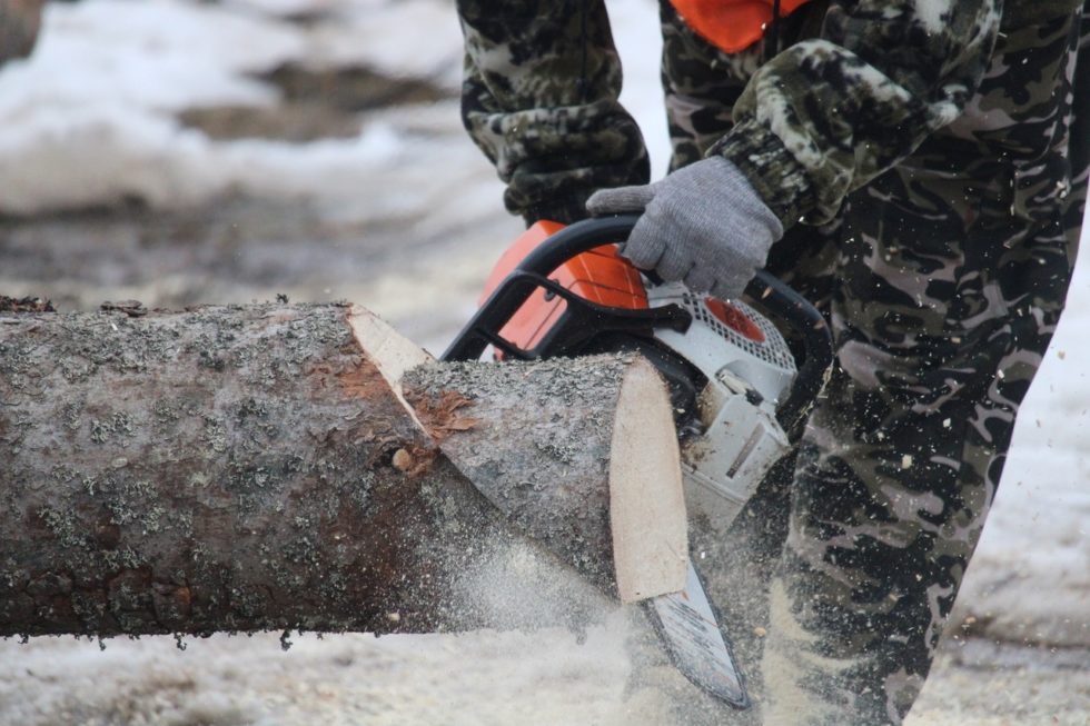 Фото: Муниципальное образование Бологовский район
