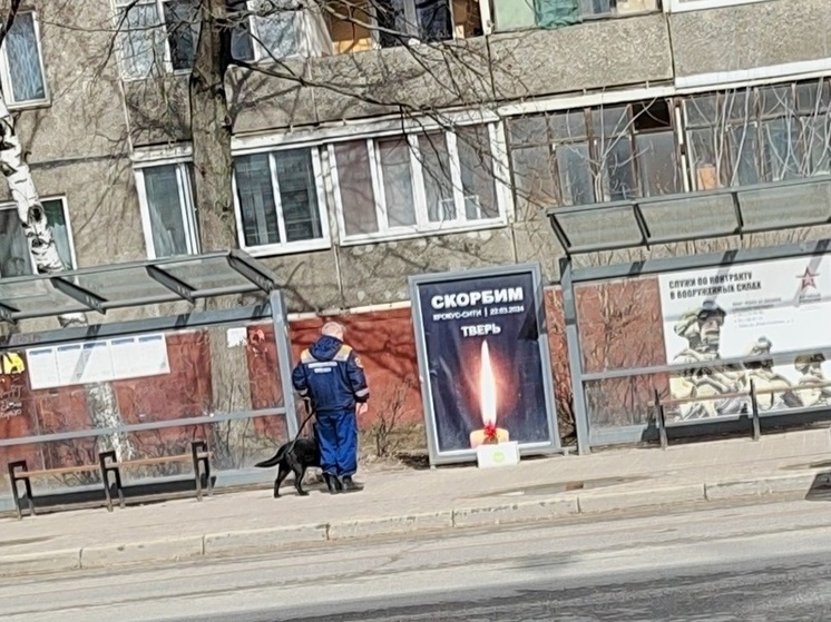 Фото: Николай Автоподбор/