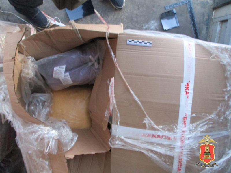 Фото: Пресс-служба УМВД России по Тверской области