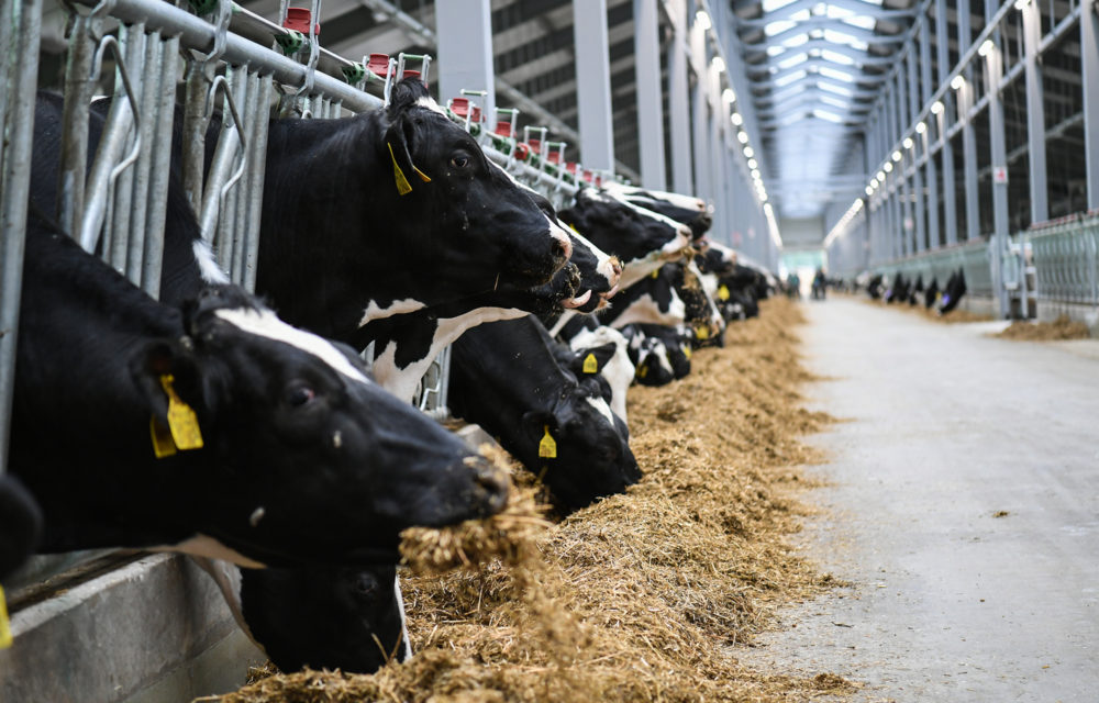 Фото: Правительство Тверской области