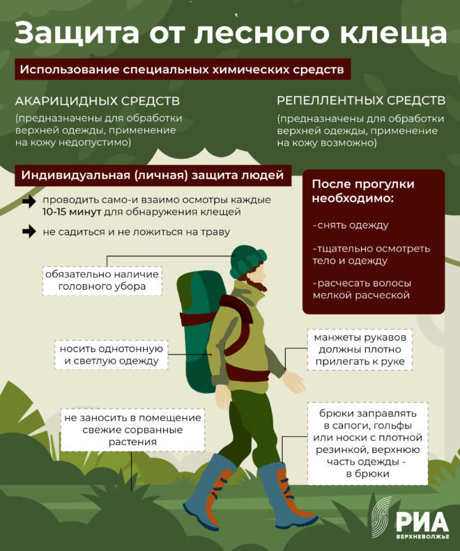 лес, клещи. клеща