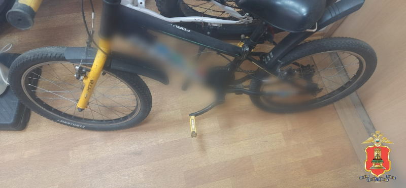 Picsart 24 04 25 12 47 05 575 800x600