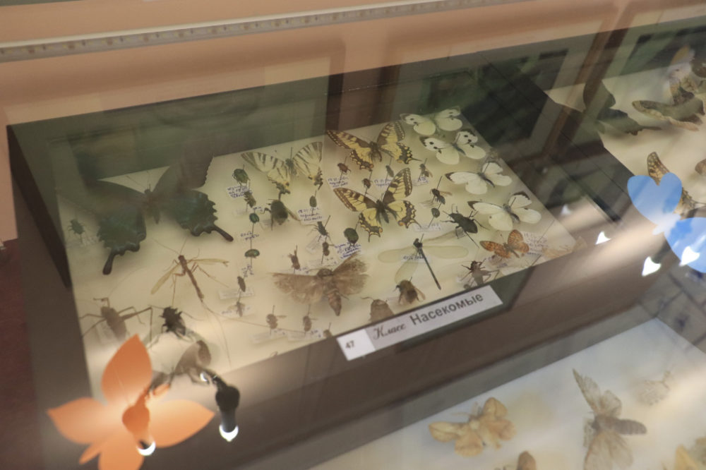 Фото: архив Государственного историко-литературного музея-заповедника А.С. Пушкина