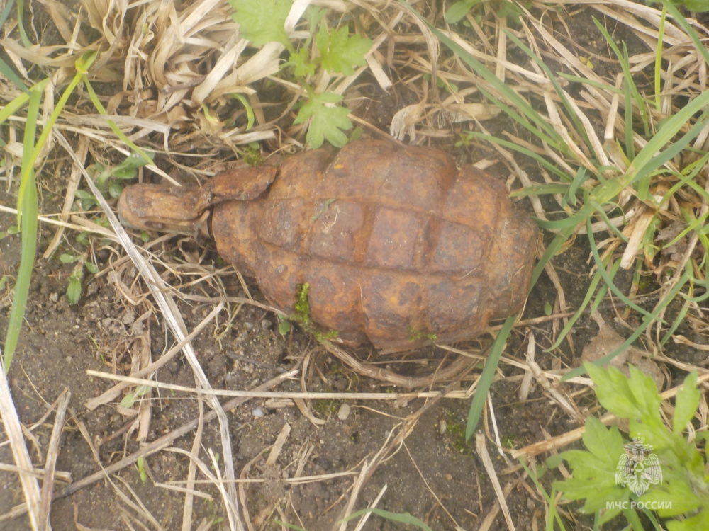 Фото: ГУ МЧС России по Тверской области