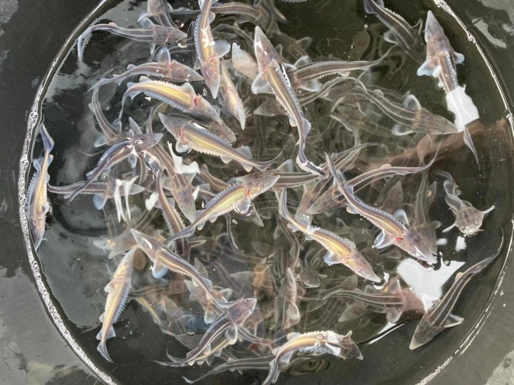 Фото: Правительство Тверской области