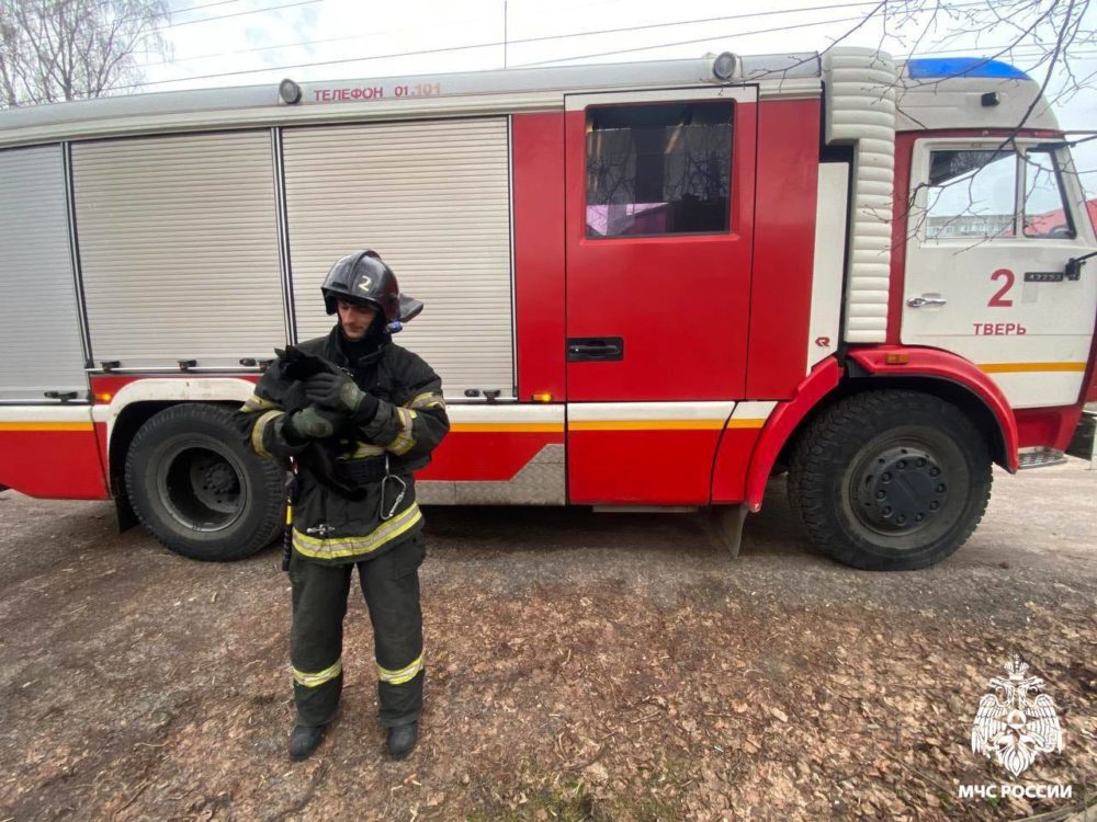 Фото: телеграм-канал областного МЧС России