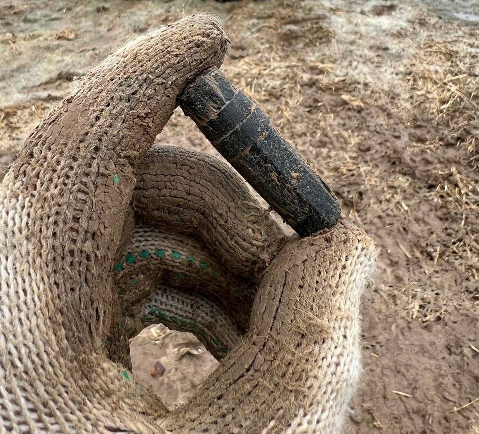 Фото: ВК-группа Поисковое движение Москвы