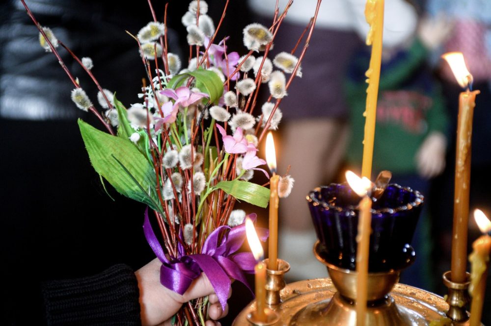 верба риа новости