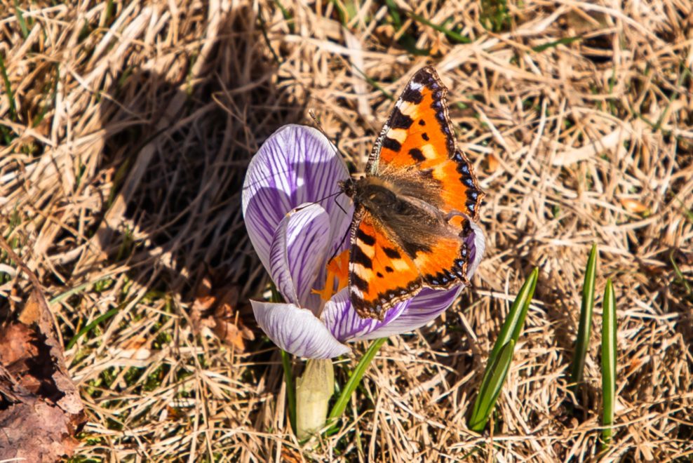 Фото: Кристина Кашина/РИА Верхневолжье
