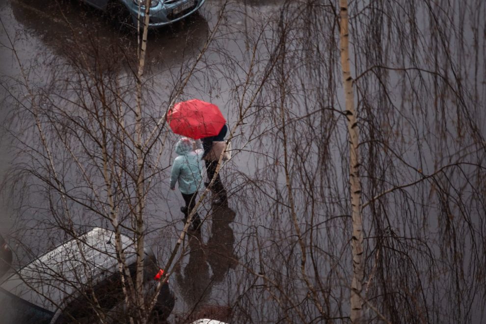 Фото: Кристина Белякова/РИА Верхневолжье