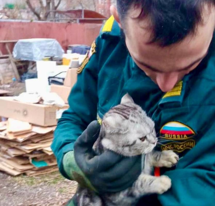 Фото: МЧС России по Тверской области