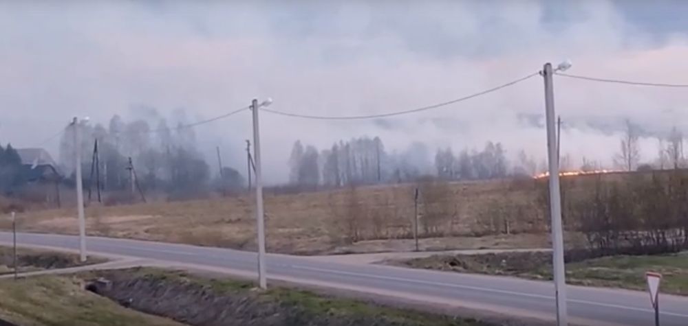 Фото: скрин с видео/РЖЕВ СЕГОДНЯ