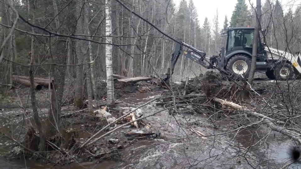 Фото: Андреапольский Муниципальный Округ