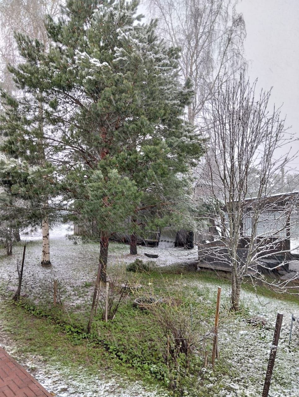 снегопад 19.04 3