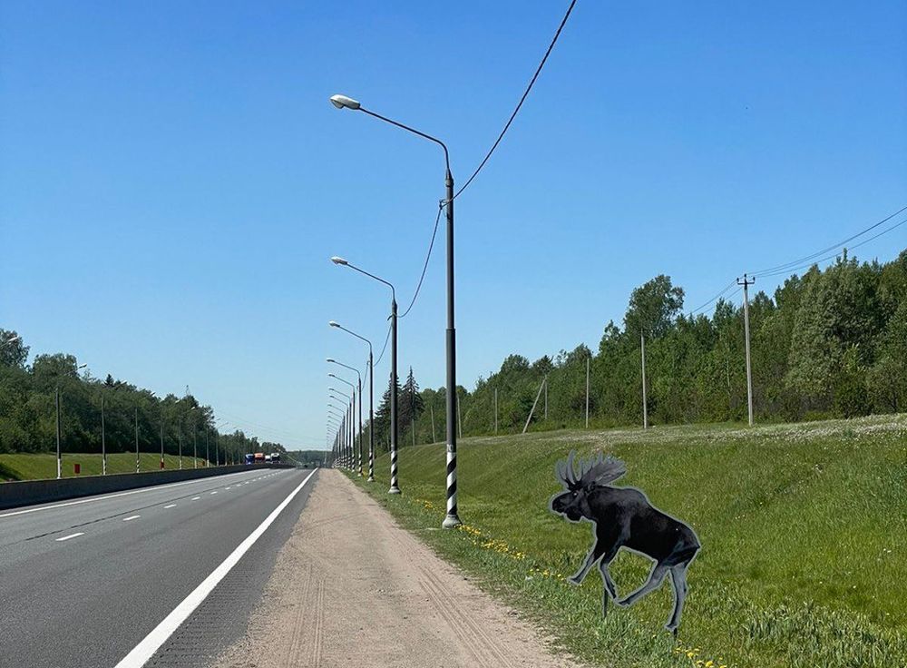 Фото: областное минприроды