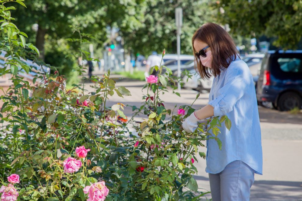Занятость подростков КБ