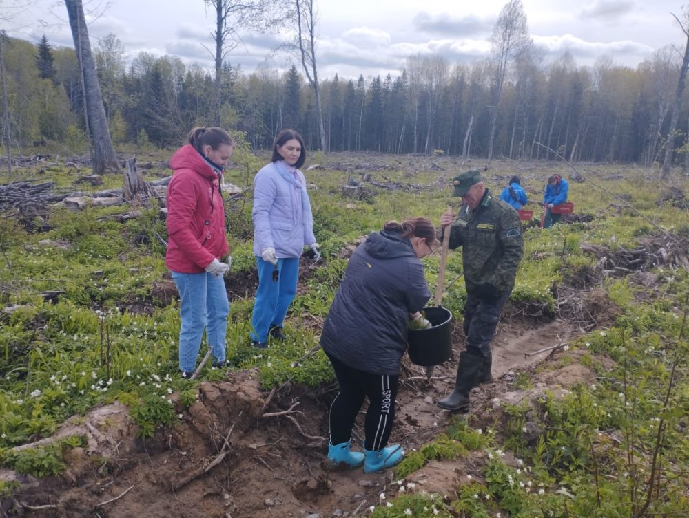 сад памяти, селижаровский округ