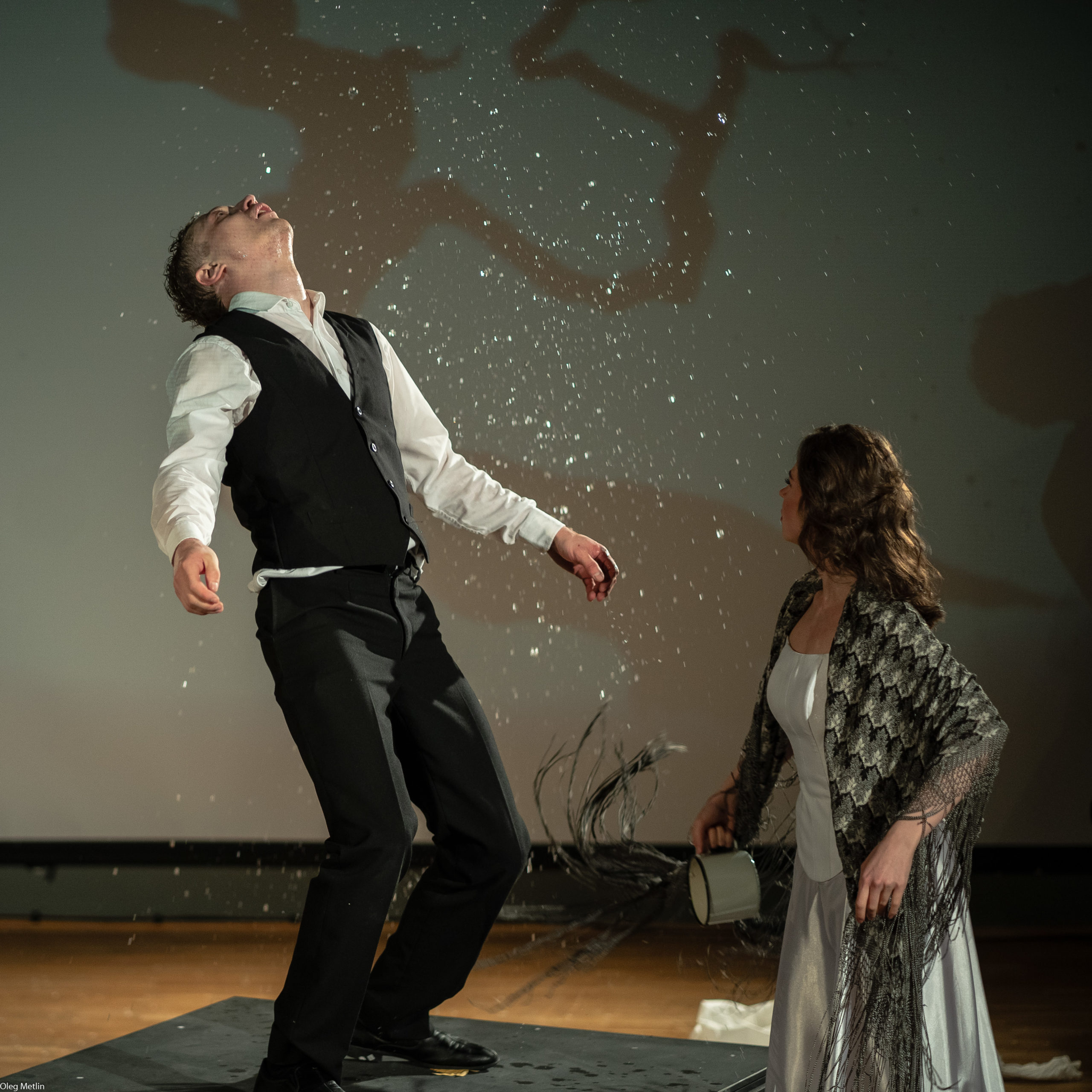 Человек. Или тень (9)