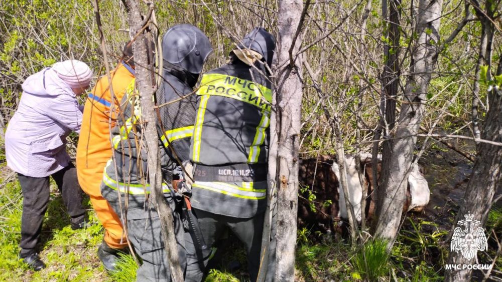 Фото: ГУ МЧС России по Тверской области