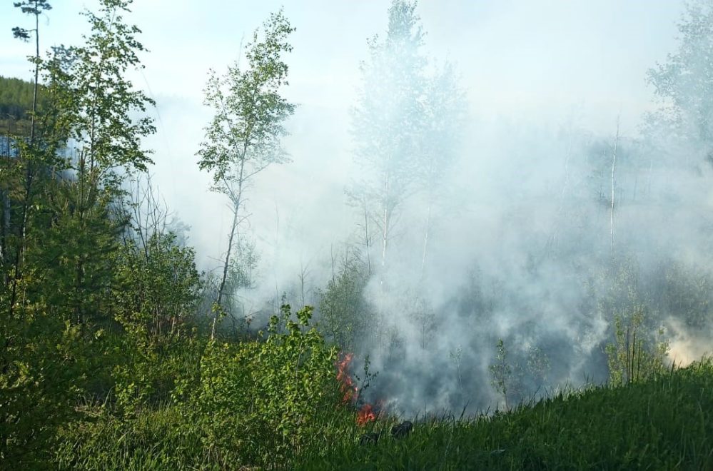 Фото: Пресс-служба Правительства Тверской области