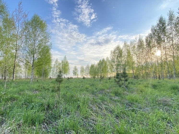 Фото: Рада Дёшина/РИА Верхневолжье