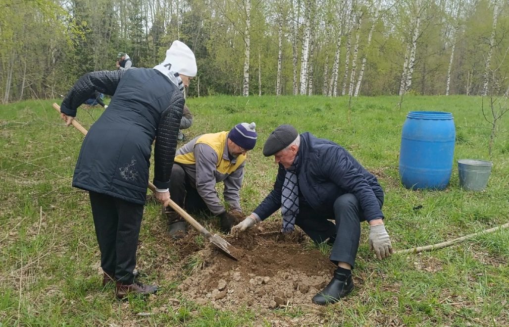 Муниципальное образование Бологовский район
