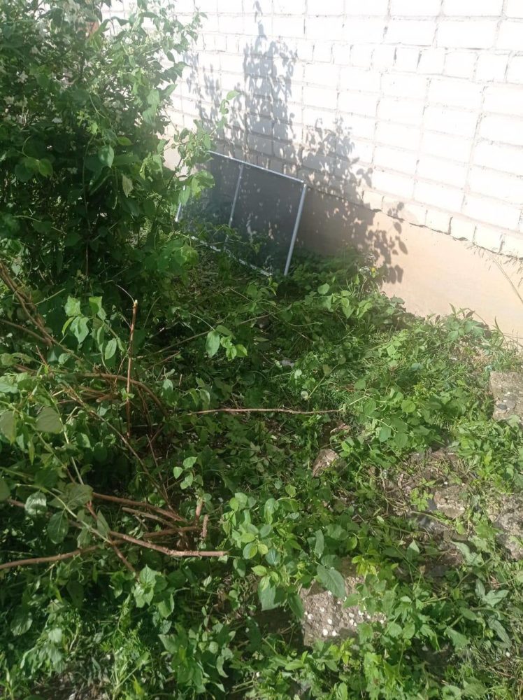 кашин, выпадение ребенка