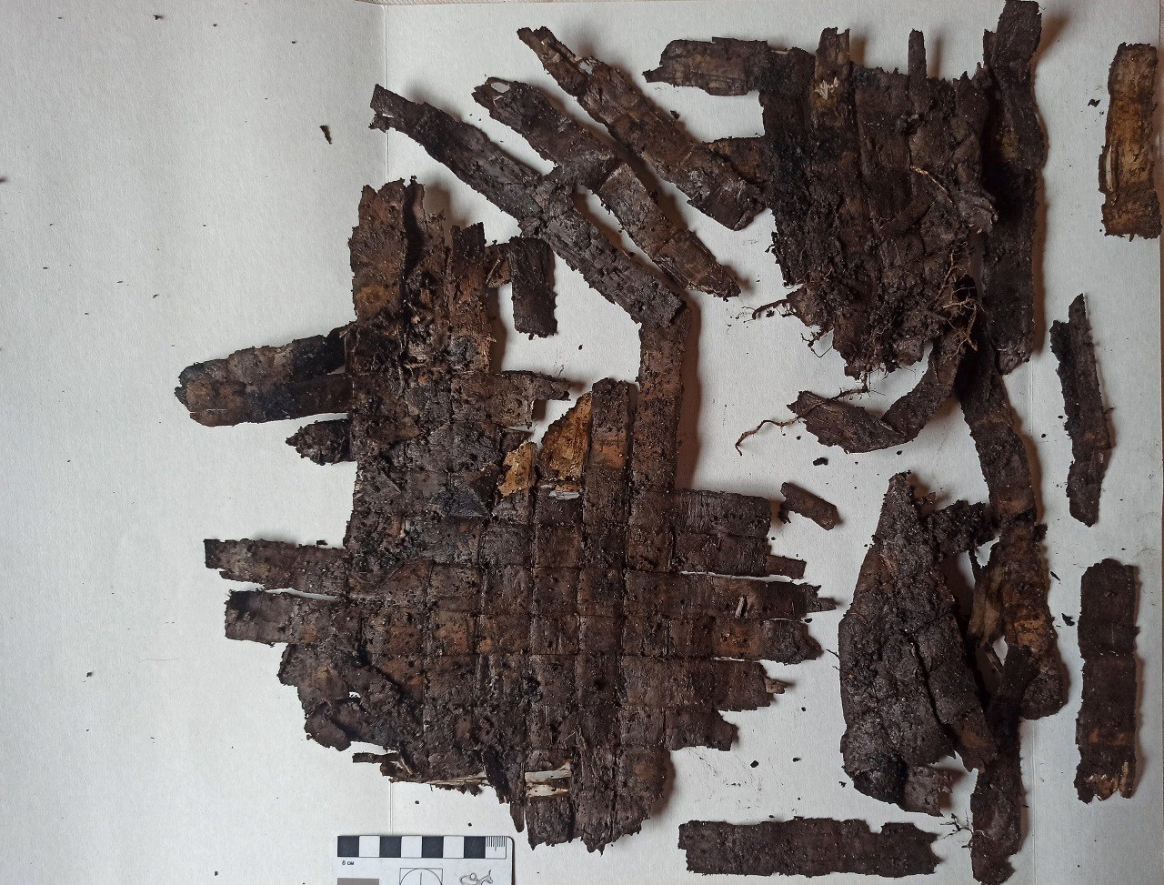 торопец, раскопки