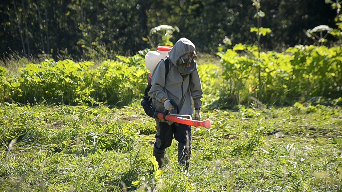 Фото: администрация города Твери