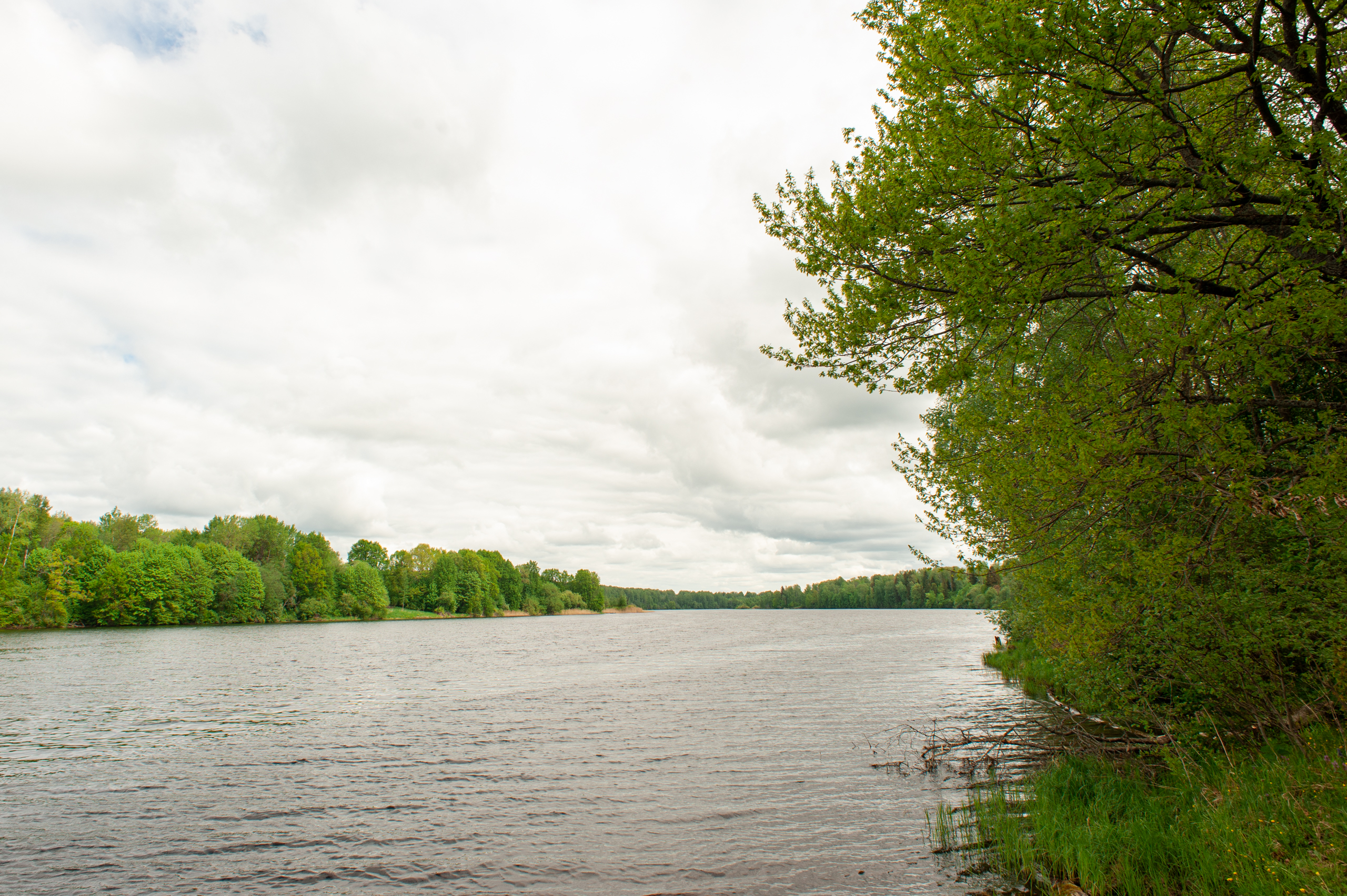 Фото: Зубов Андрей/РИА Верхневолжье
