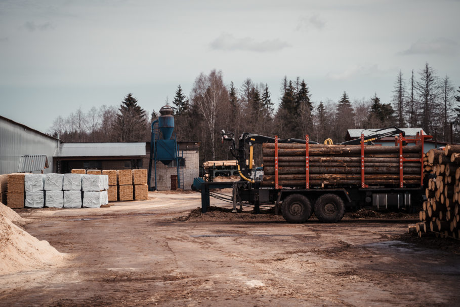 Фото: Леонид Смирнов/РИА Верхневолжье
